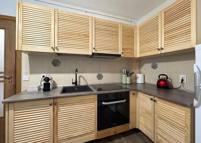 Apartment Old Town Brasov